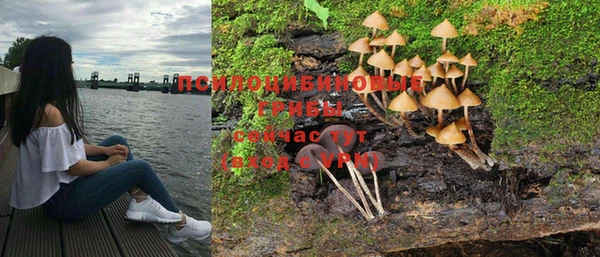 PSILOCYBIN Балабаново